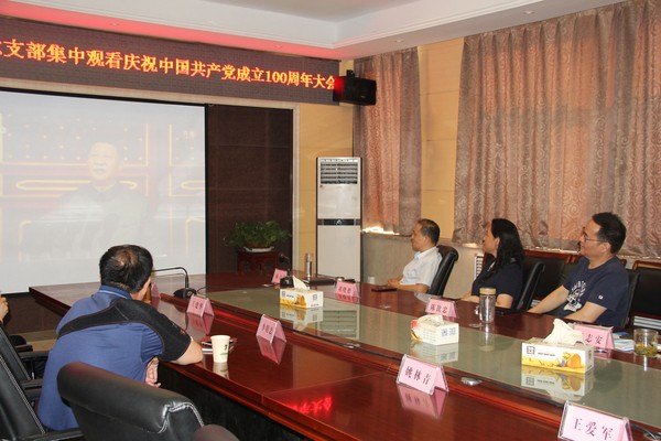 庆建党100周年1 (3).jpg