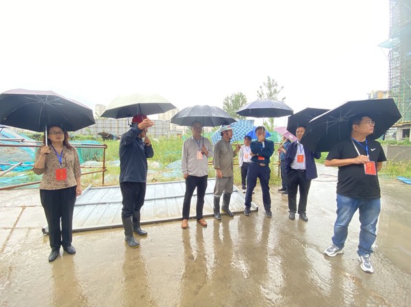 2022.8.30，相山区人大常委会调研组在圣景御苑工地现场.jpg